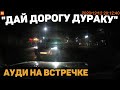 Автоподборка "Дай Дорогу Дураку"🚘Ауди на Встречке#228