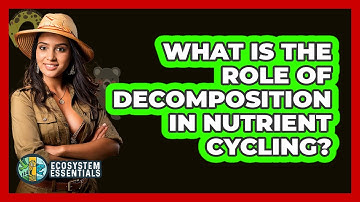 What Is The Role Of Decomposition In Nutrient Cycling? - Ecosystem Essentials