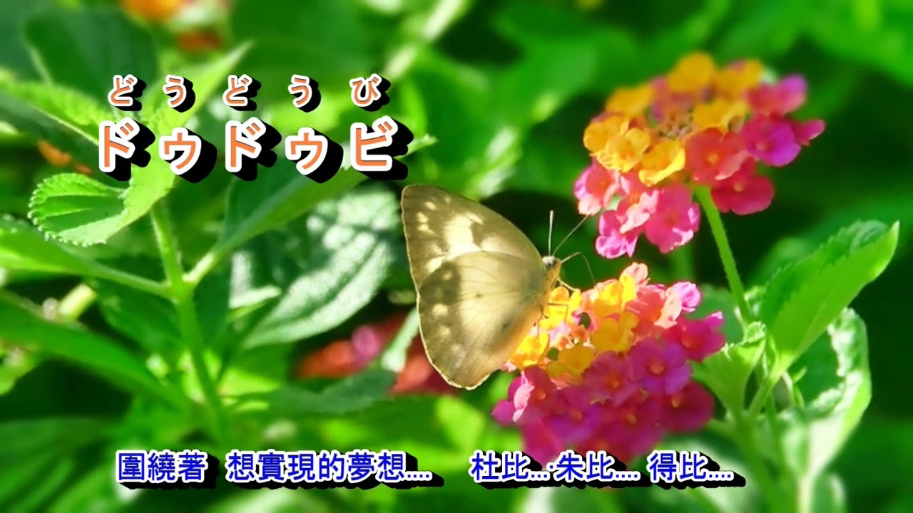 A07 638 伊勢佐木町ブルース青江三奈- YouTube