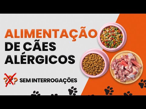 Vídeo: 3 maneiras de dar banho aos filhotes