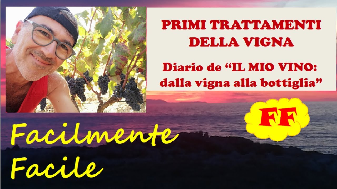 17 - PRIMI TRATTAMENTI DELLA VIGNA - 