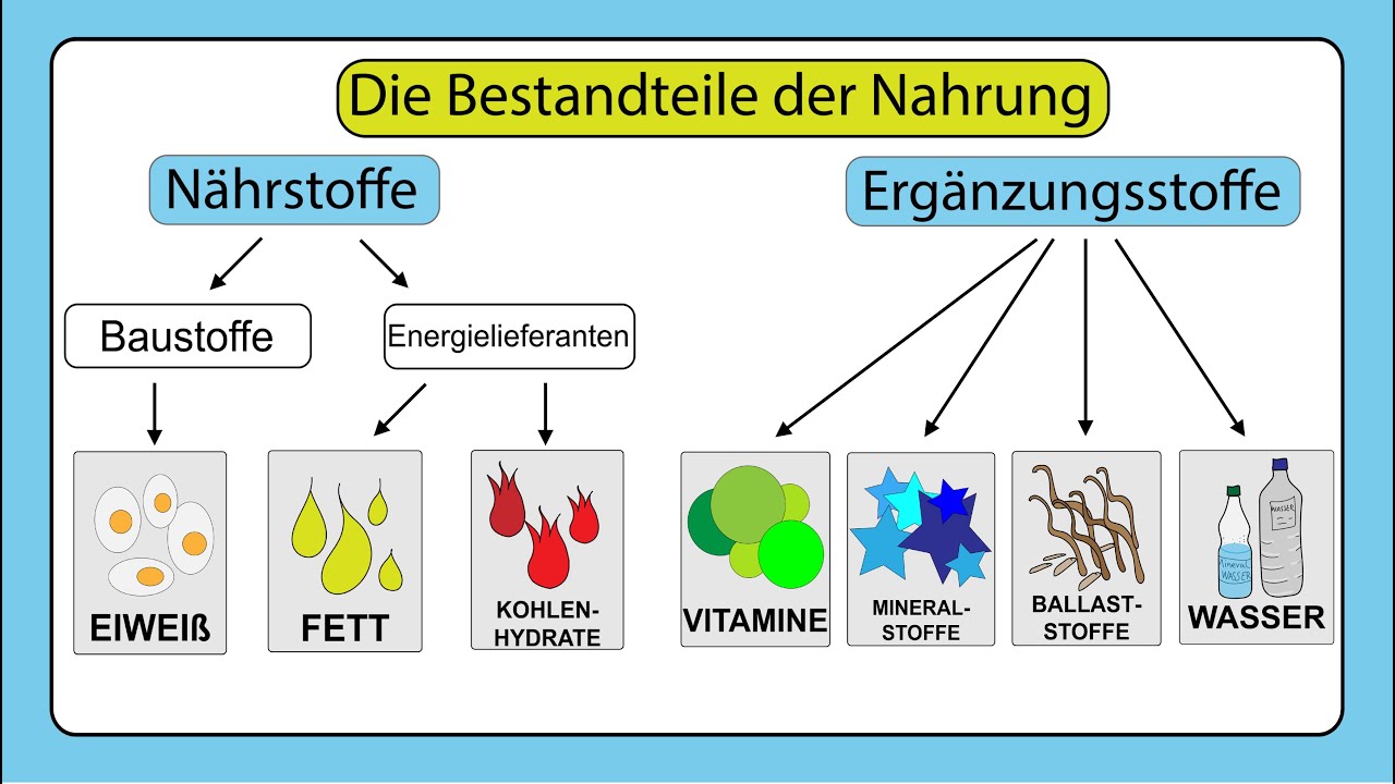 Warum essen wir, was wir essen? | 42 - Die Antwort auf fast alles | ARTE