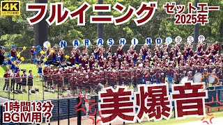 本日発送　習志野高校　野球部　2025応援 セット 本日発送 習志野高校 野球部 2025応援 セット