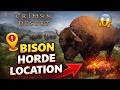 Where to Find Bison Easily - Crimson Desert - Bison Location