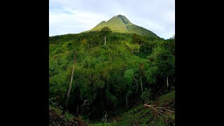 To Mt.  Matutum Polomolok South Cotabato Philippines