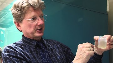 Practical training on ballast water sampling and analysis