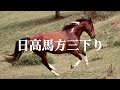 Hidaka Uma Kata Mikudari