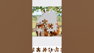 Jigsaw Puzzle Satisfying Video 10 #puzzlegame #jigsawpuzzle #jigsaw #horseart #satysfing