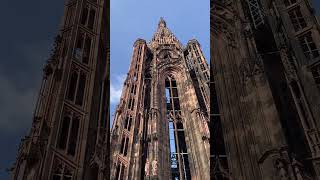 Darwin climbs a cathedral