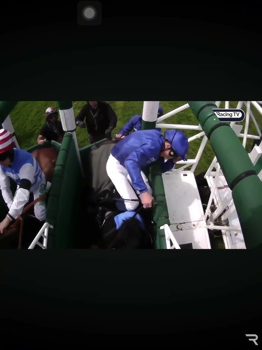 Horse wins race without rider ❤️✨🐴😱 #shorts