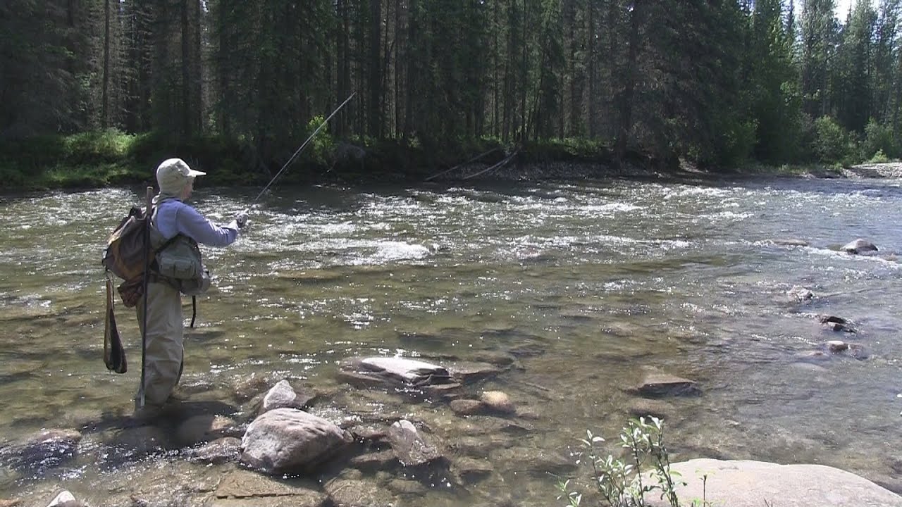 Fishing the Wildhay River, Alberta YouTube