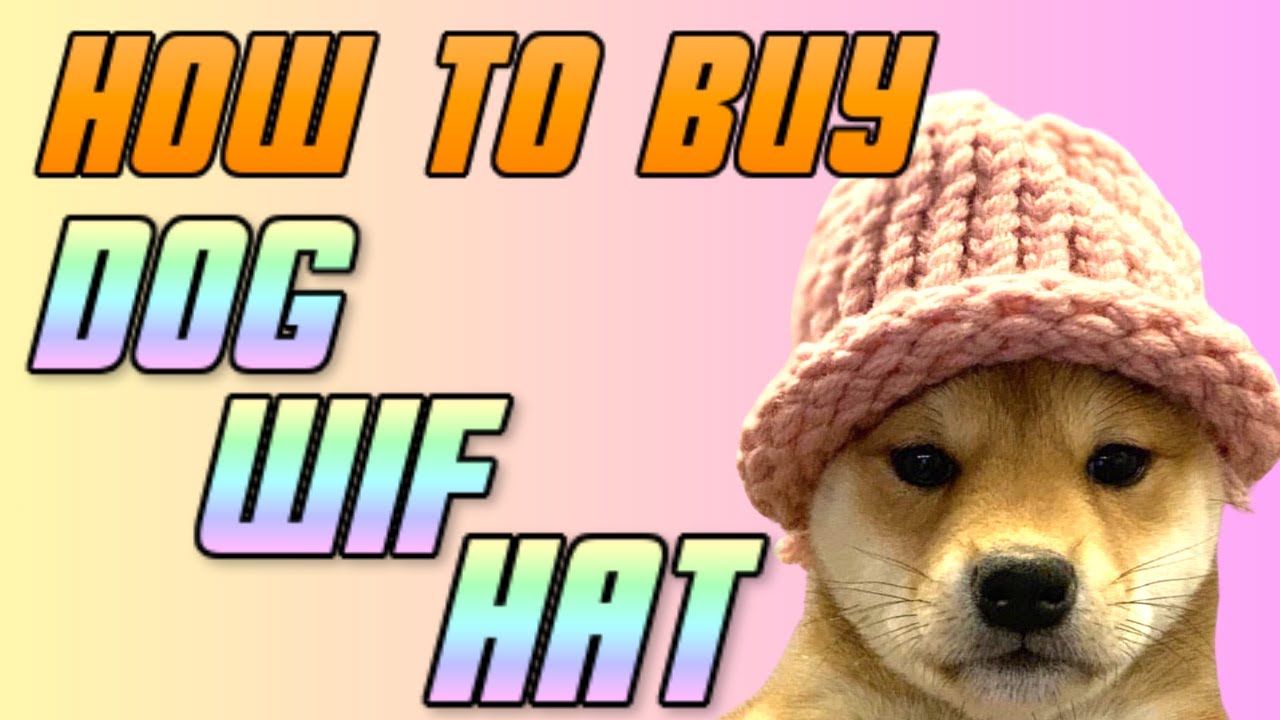 HOW TO BUY DOG WIF HAT COIN - YouTube