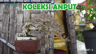 2 BULAN SUDAH JADI SAMBUNG SISIP ANTING PUTRI