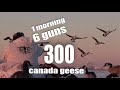 300 canada geese 6 guns 1 morning