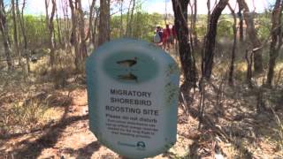 Great Sandy Strait Ramsar Wetland