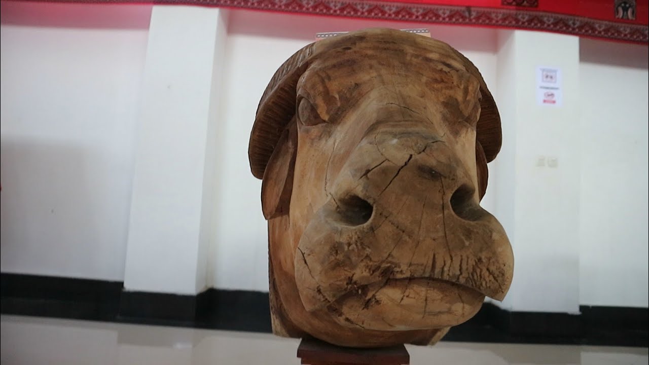 Ternyata di Tengah Kota Rantepao Ada Mumi, Peti Mati Berbentuk Babi dan Kerbau