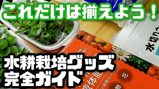 【3000円以内で揃う！！】失敗しない水耕栽培のグッズ完全ガイド