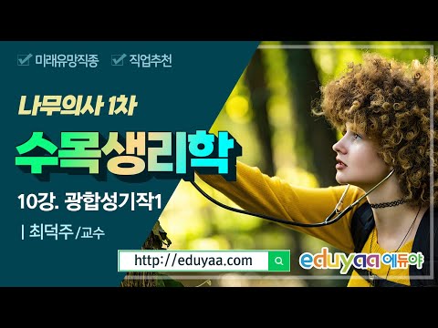 나무의사 수목생릭학 10강 광합성기작1