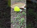 Badminton 🏸❤️ #shorts #ytshorts #nature #viral