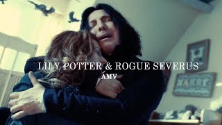 The Story of Lily Potter and Severus Snape [AMV]
