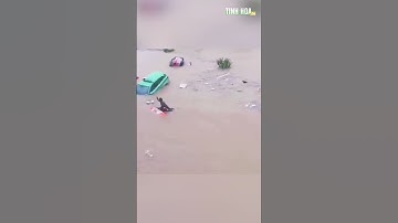 Người đàn ông dũng cảm cứu người trong dòng lũ dữ ở Trịnh Châu, Trung Quốc | Tinh Hoa TV