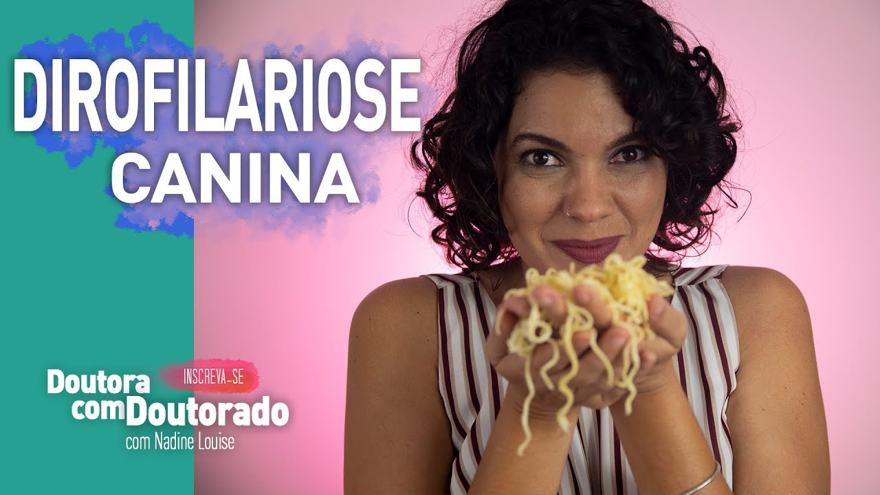 Qual Tratamento Para Dirofilariose?