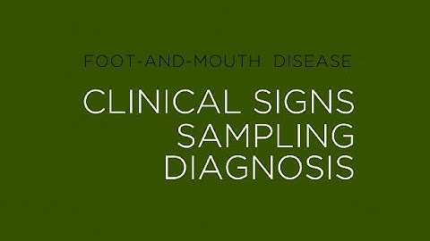 FMD clinical signs, sampling collection and diagnosis