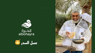 العم بوعثمان في مملكة النحل  | albohayra 