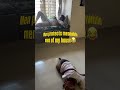 Alshi mens #comedy #viralvideo #funny #trendingshorts #trending #shorts #short #holiday #boring