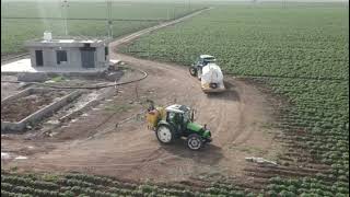 زراعة البطاطس في العراق ٢٠٢٢