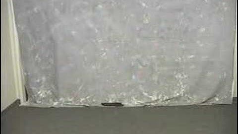 Afro Ninja - Master of The Backflip