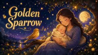 Bedtime Music Box for Infants ✨ Soothing Nursery Melodies | Slept Like A Baby