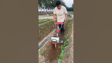Small gasoline micro-tillage machine, weeding and ditching weeder #rotarytillage ditching machine.