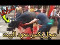 A Bull Breaks A House Pillar In Sheikh Zayed City Watch Before It S Deleted 