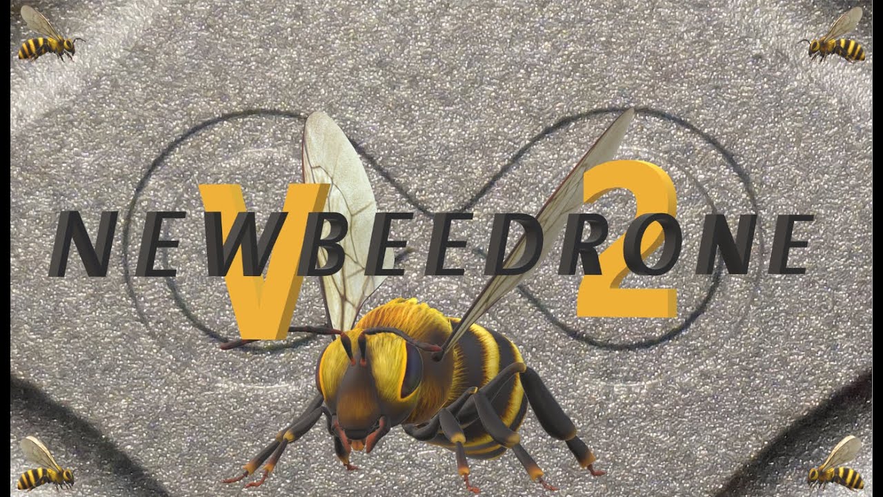 NEWBEEDRONE AIO V2 3-6S