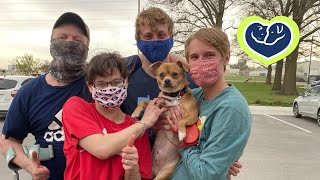 Crisis Pet Retention Program