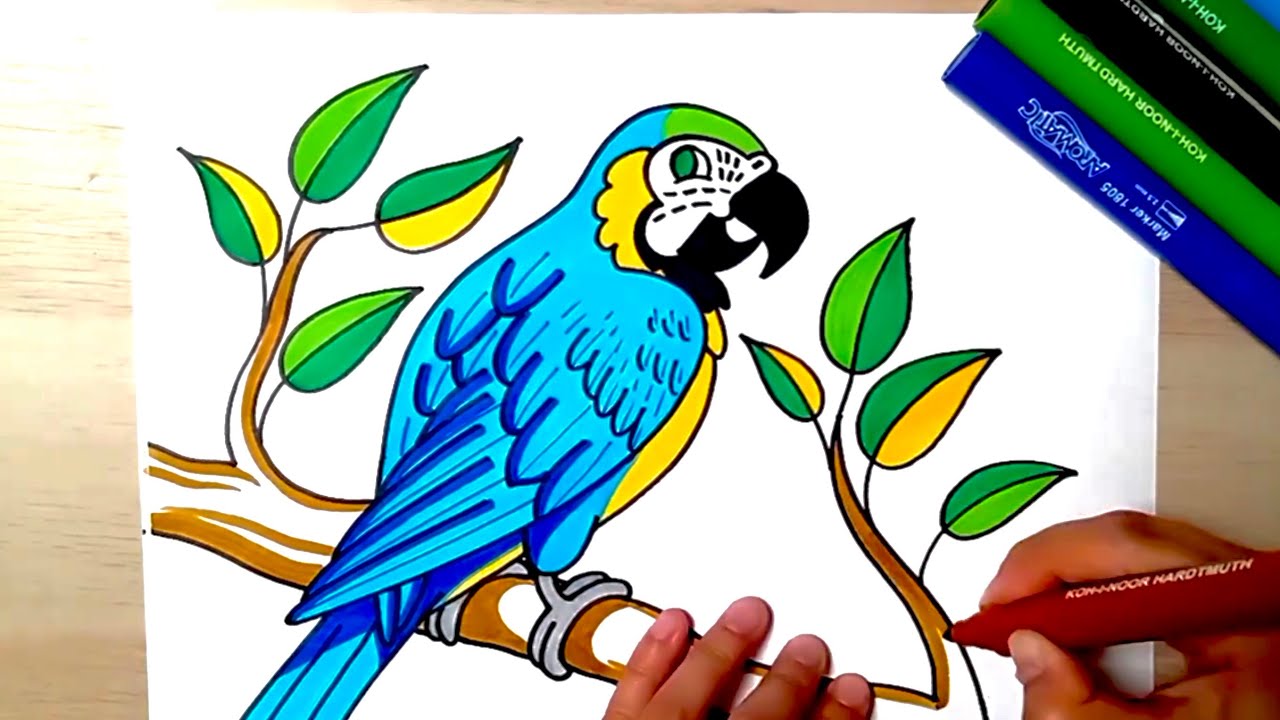 HOW TO DRAW a Blue and Gold Macaw drawing for kids coloring with