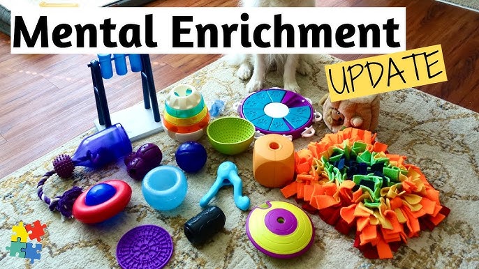 BEST Enrichment Toys & Puzzles 👉 REVIEWED! 