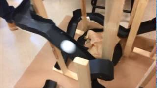 Roller coaster Assignment
