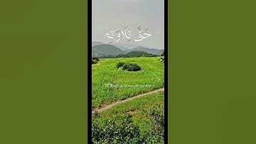 القارئ الشيخ محمد أيوب سورة آل عمران الآية 173
