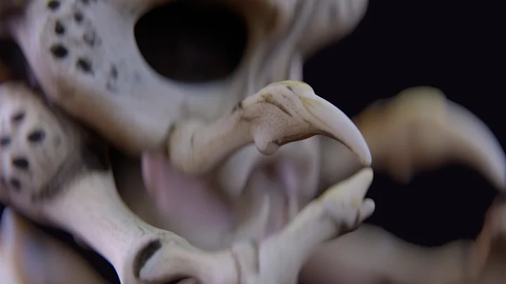 MASTERING REDSHIFT Depth of Field and Bokeh Made Easy in 3DS Max!