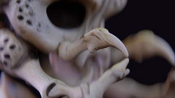 MASTERING REDSHIFT Depth of Field and Bokeh Made Easy in 3DS Max!