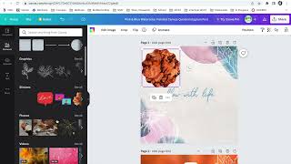 BMP Canva screenshot 5
