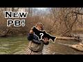 Could This Be The Hardest Fighting Fish in the Creeks?!