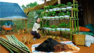 Make Bamboo Shelves To Grow Strawberries – Harvest Homegrown Vegetables For Sale – Cook, Garden.