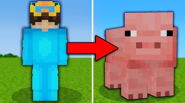 I Pranked My Friend With The Morph Mod in Minecraft!