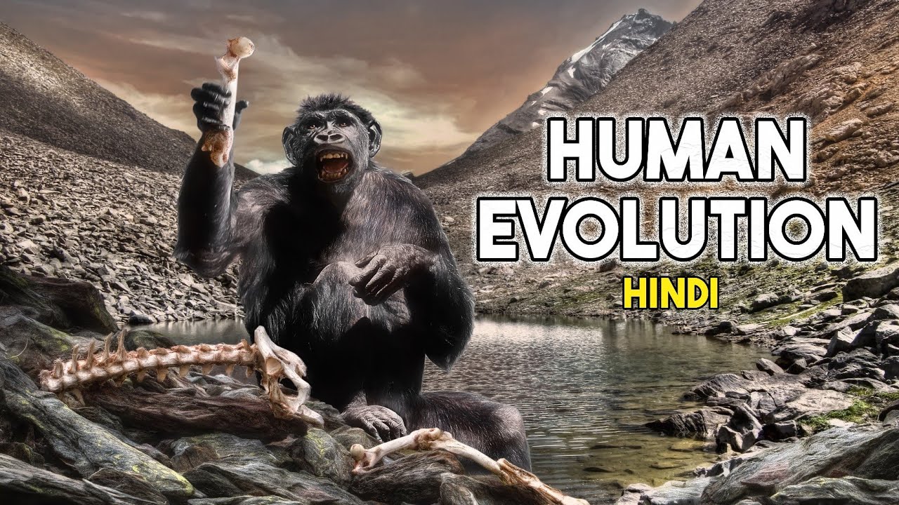human evolution in hindi | theory of evolution | evolution from ape to ...