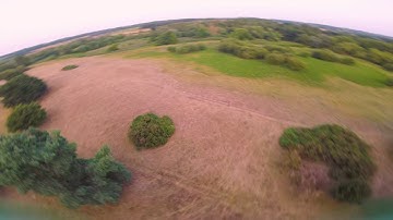 Uncut Betaflight 3.5 notch quality & width percent see description / fpv freestyle