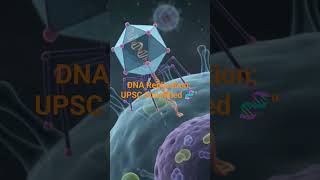 How DNA Replicates? Simple Explanation for UPSC & Competitive Exams #upsc #upscpreparation #ias#cg