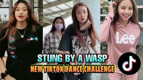 STUNG BY A WASP by: Sawyer || New Tiktok Dance Trend w/ BiaMi💜 Compilation